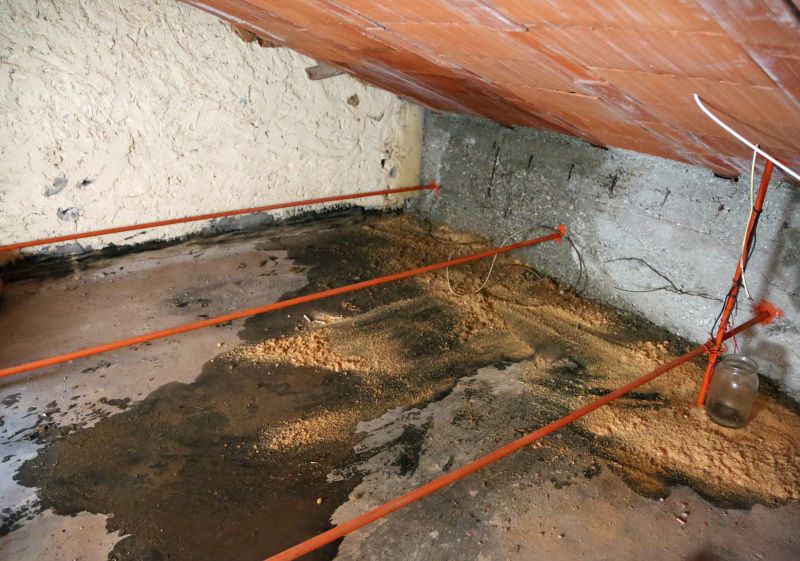 Attic Water Damage Repair in Denver County, CO