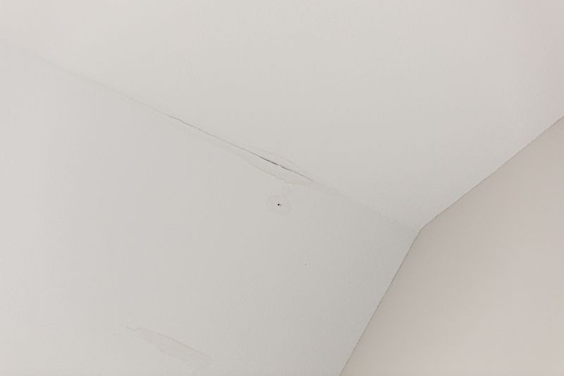 Ceiling Leak Repair Service in Santa Rosa, CA