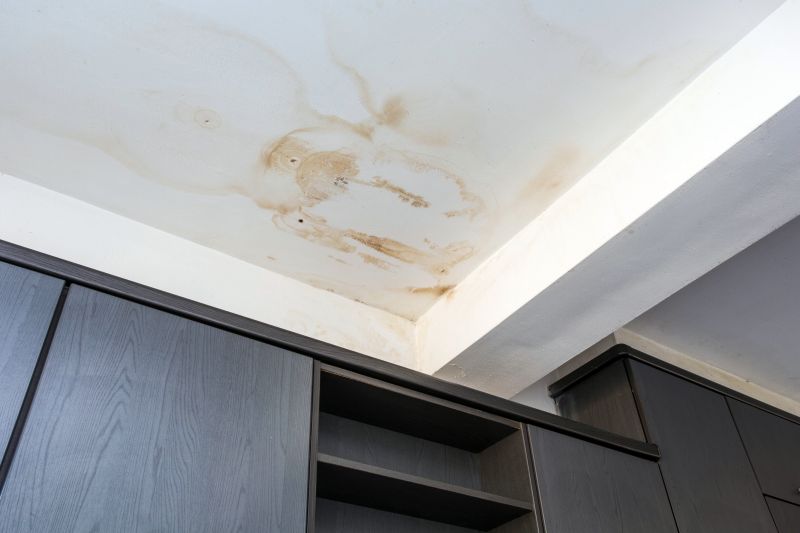 Ceiling Leak Repair Service in Charleston, SC