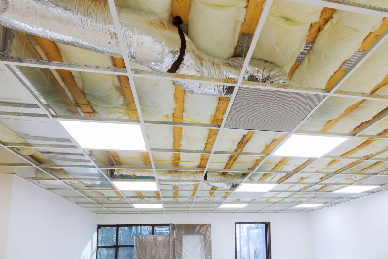 Ceiling Removal Service in Littleton, CO