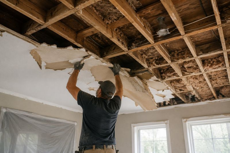 Ceiling Removal Service in Santa Rosa, CA