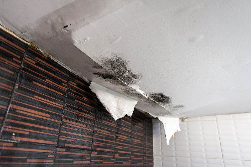 Leaking Ceiling Repair in Denver, CO