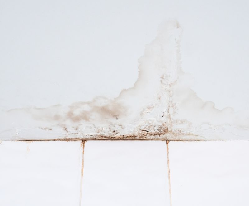Water Damage Ceiling Repair in Katy, TX
