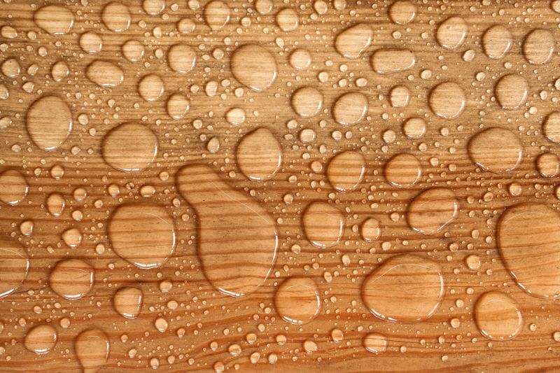 Wood Waterproofing in Kitsap County, WA